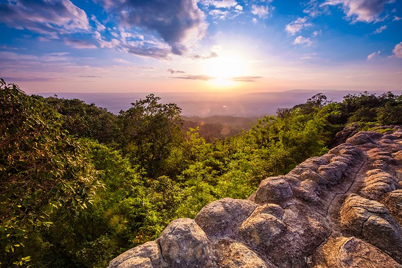 อุทยานแห่งชาติภูหินร่องกล้า ประวัติศาสตร์และธรรมชาติที่งดงาม